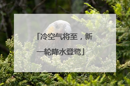 冷空气将至，新一轮降水登鹭