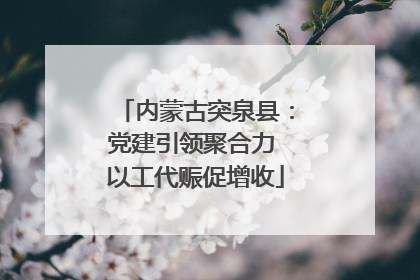 内蒙古突泉县：党建引领聚合力 以工代赈促增收