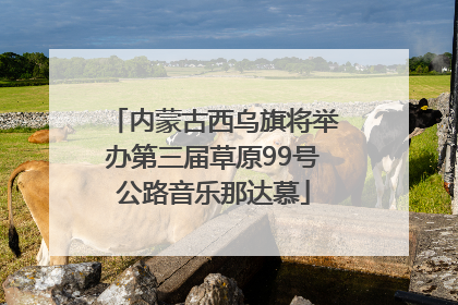 内蒙古西乌旗将举办第三届草原99号公路音乐那达慕