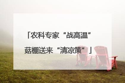 农科专家“战高温” 菇棚送来“清凉策”