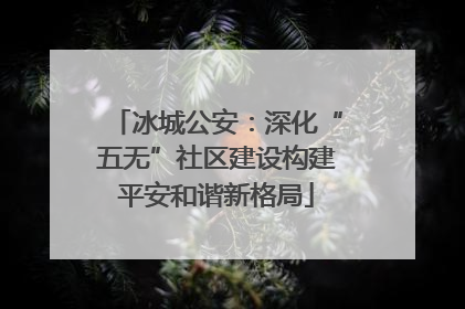 冰城公安：深化“五无”社区建设构建平安和谐新格局