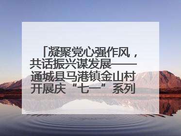 凝聚党心强作风，共话振兴谋发展——通城县马港镇金山村开展庆“七一”系列庆祝活动