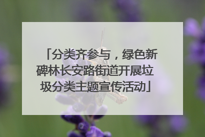 分类齐参与，绿色新碑林长安路街道开展垃圾分类主题宣传活动