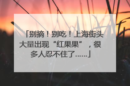别摘！别吃！上海街头大量出现“红果果”，很多人忍不住了……