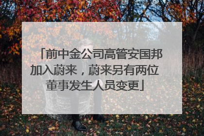 前中金公司高管安国邦加入蔚来，蔚来另有两位董事发生人员变更