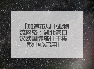 加速布局中亚物流网络：湖北港口汉欧国际塔什干集散中心启用