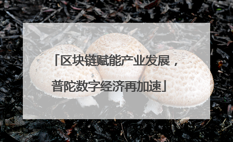 区块链赋能产业发展，普陀数字经济再加速