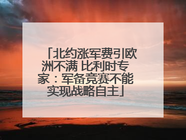 北约涨军费引欧洲不满 比利时专家：军备竞赛不能实现战略自主
