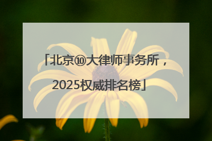 北京⑩大律师事务所，2025权威排名榜