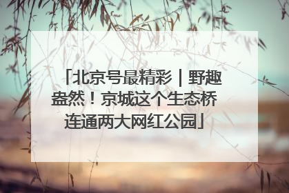 北京号最精彩｜野趣盎然！京城这个生态桥连通两大网红公园