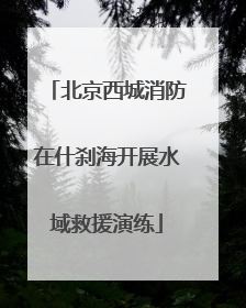 北京西城消防在什刹海开展水域救援演练