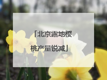 北京露地樱桃产量锐减