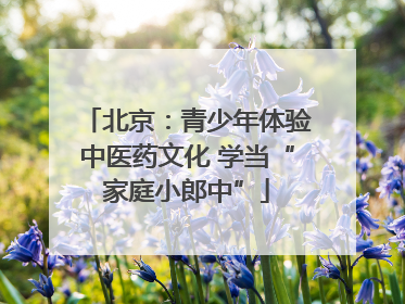 北京：青少年体验中医药文化 学当“家庭小郎中”