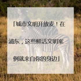 城市文明开放麦！在浦东，这些鲜活文明案例就来自你的身边