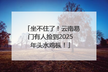 坐不住了！云南易门有人捡到2025年头水鸡枞！