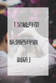 吴毓舟带队到西坪镇调研