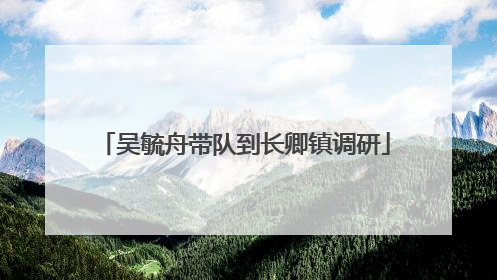 吴毓舟带队到长卿镇调研