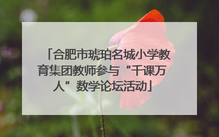 合肥市琥珀名城小学教育集团教师参与“千课万人”数学论坛活动
