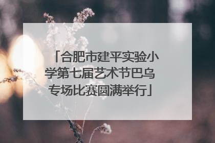 合肥市建平实验小学第七届艺术节巴乌专场比赛圆满举行