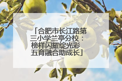 合肥市长江路第三小学兰亭分校：榜样闪耀绽光彩 五育融合助成长