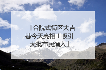 合院式街区大吉巷今天亮相！吸引大批市民涌入