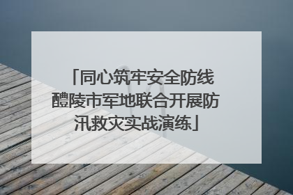 同心筑牢安全防线 醴陵市军地联合开展防汛救灾实战演练