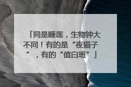 同是睡莲，生物钟大不同！有的是“夜猫子”，有的“值白班”