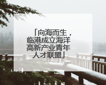 向海而生，临港成立海洋高新产业青年人才联盟