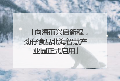 向海而兴启新程，劲仔食品北海智慧产业园正式启用
