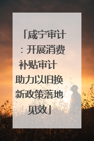 咸宁审计：开展消费补贴审计 助力以旧换新政策落地见效