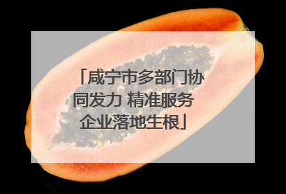 咸宁市多部门协同发力 精准服务企业落地生根