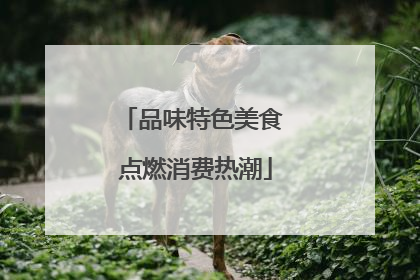 品味特色美食 点燃消费热潮