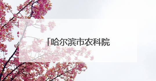 哈尔滨市农科院赋能，“寒地小龙虾”亮相哈洽会