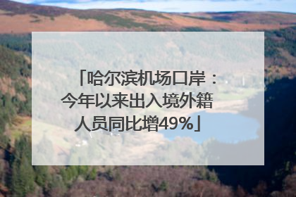 哈尔滨机场口岸：今年以来出入境外籍人员同比增49%