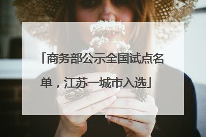 商务部公示全国试点名单，江苏一城市入选