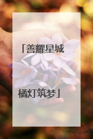 善耀星城 橘灯筑梦