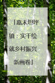 嘉禾坦坪镇：实干绘就乡村振兴新画卷