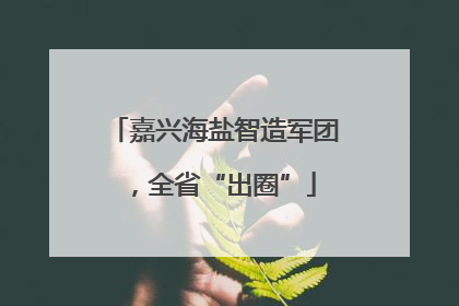 嘉兴海盐智造军团，全省“出圈”