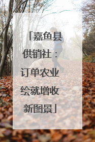 嘉鱼县供销社：订单农业绘就增收新图景