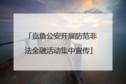 嘉鱼公安开展防范非法金融活动集中宣传