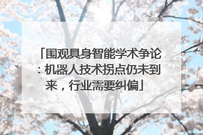 围观具身智能学术争论：机器人技术拐点仍未到来，行业需要纠偏