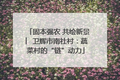 固本强农 共绘新景 ︳卫辉市南社村：蔬菜村的“链”动力
