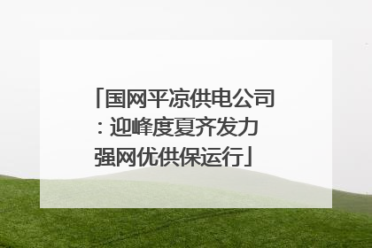 国网平凉供电公司：迎峰度夏齐发力 强网优供保运行