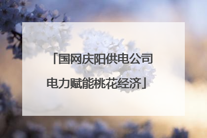 国网庆阳供电公司电力赋能桃花经济