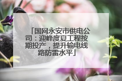 国网永安市供电公司:迎峰度夏工程按期投产,提升输电线路防雷水平
