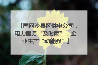 国网沙县区供电公司：电力服务“及时雨”，企业生产“动能强”