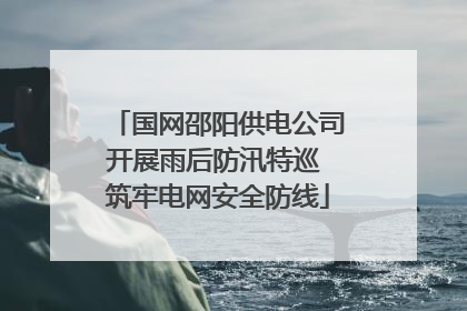 国网邵阳供电公司开展雨后防汛特巡 筑牢电网安全防线