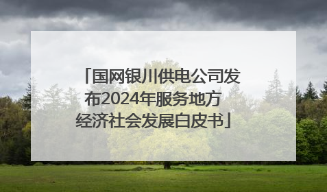 国网银川供电公司发布2024年服务地方经济社会发展白皮书