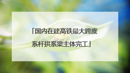 国内在建高铁最大跨度系杆拱系梁主体完工