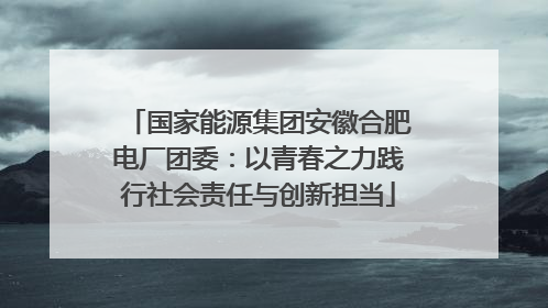 国家能源集团安徽合肥电厂团委：以青春之力践行社会责任与创新担当